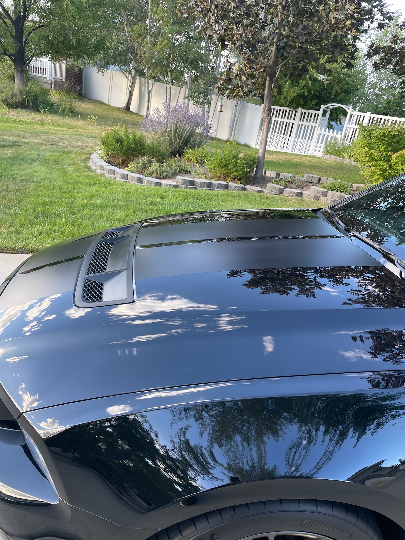 After detailing