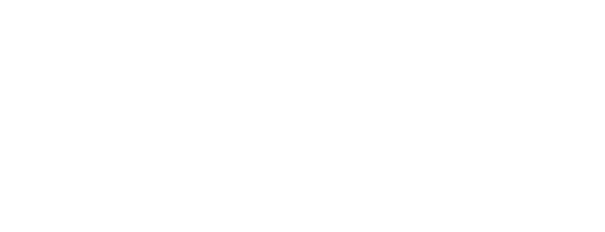 Big Bro Detailing logo